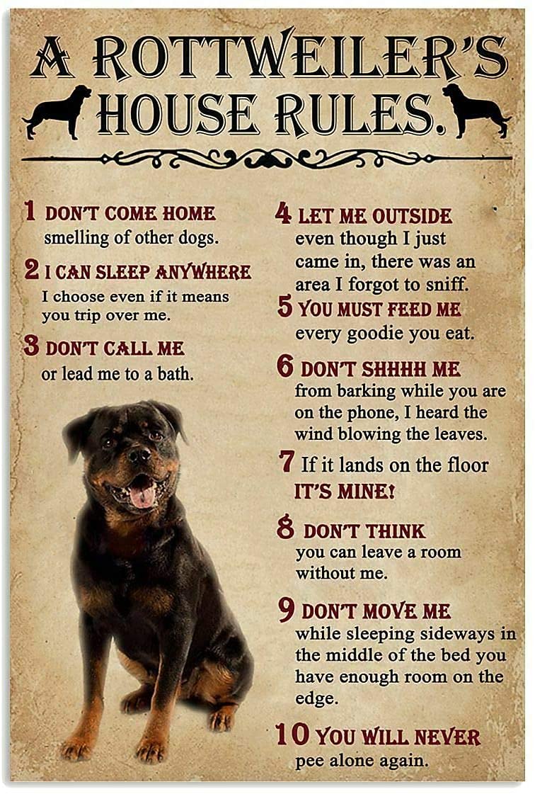 Home Office New Rules - A Rottweiler'S House Rules Metal Tin