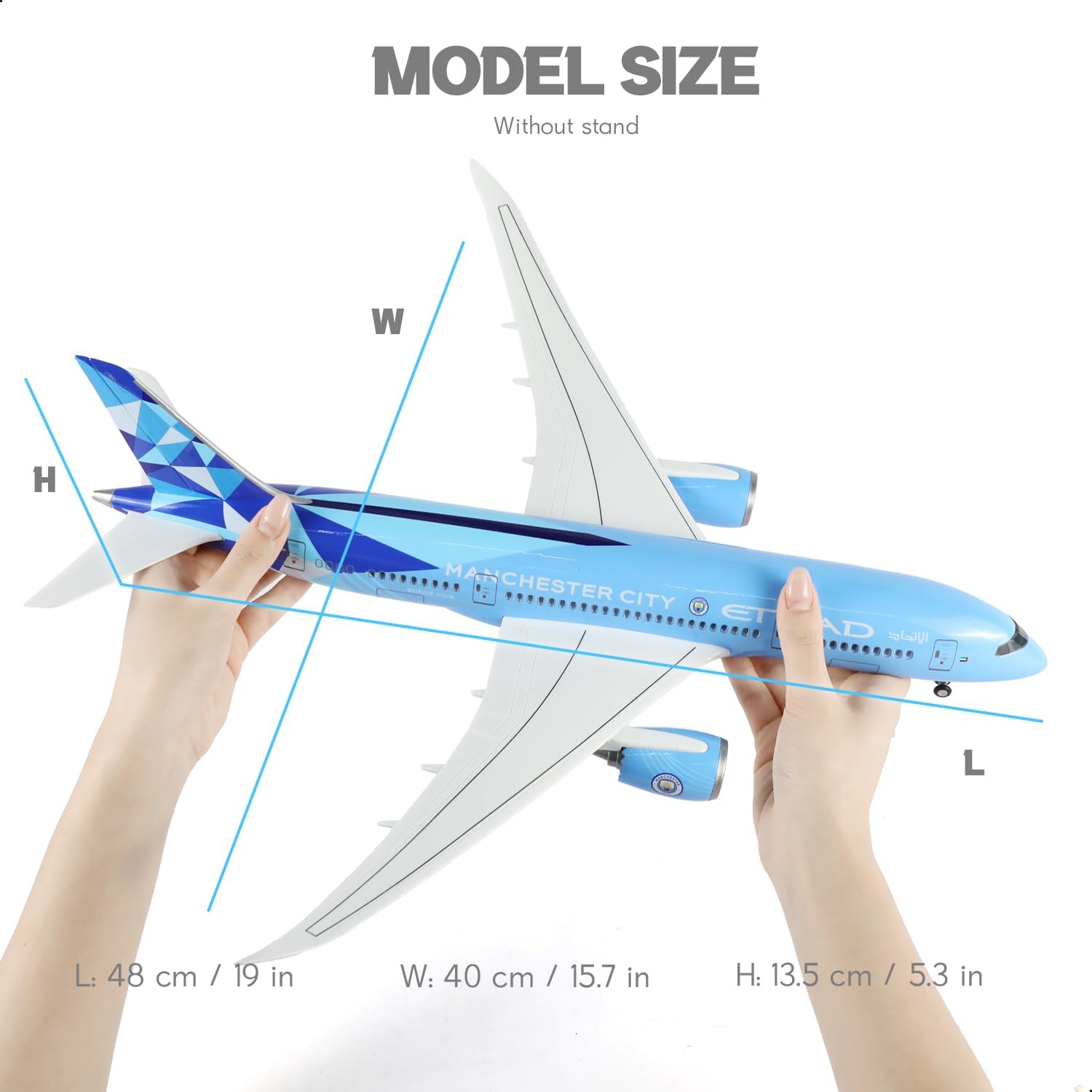 1/130 Large Scale for Etihad 7 - đánh giá và giá Home Office Pay