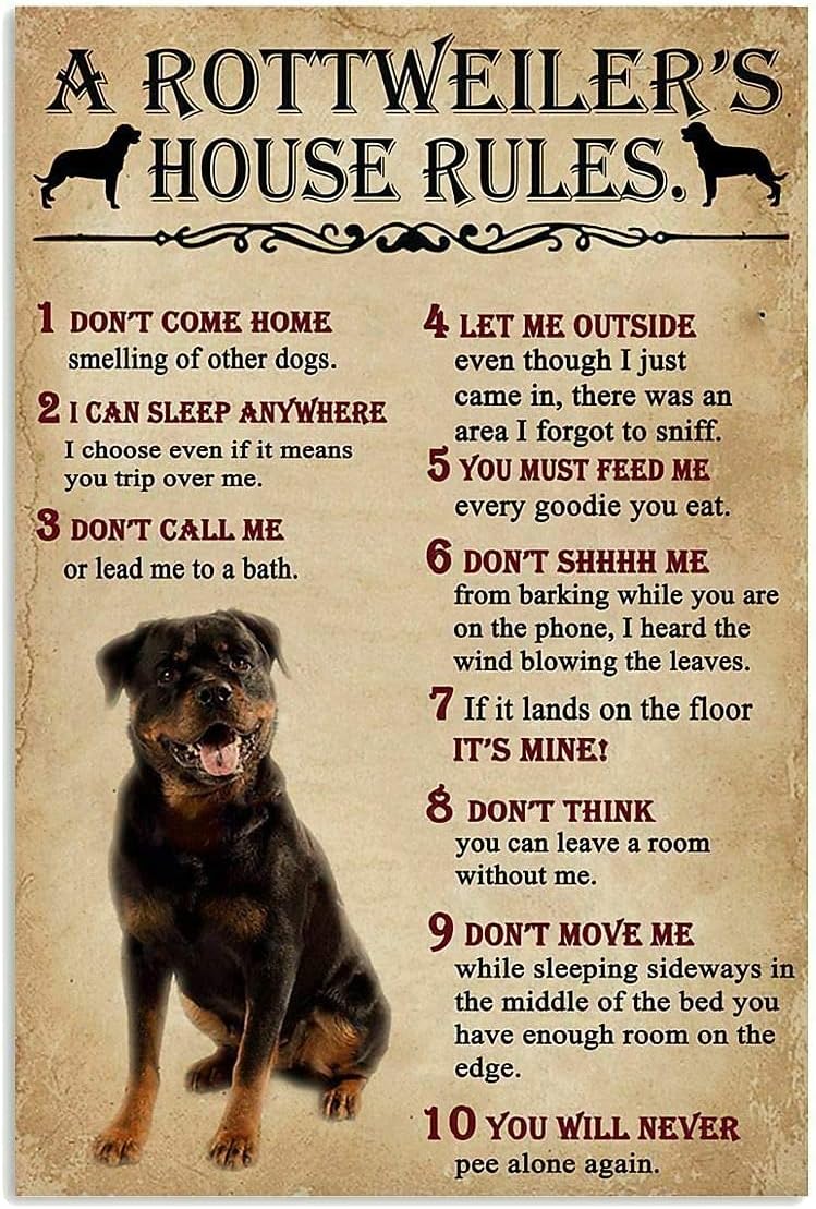 A Rottweiler;S House Rules Met - đánh giá và giá Home Office New Rules