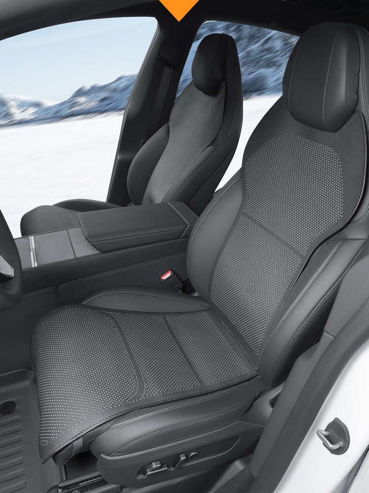 For 6-seater Tesla Model YL ca - đánh giá và giá Mesh Back Cushion
