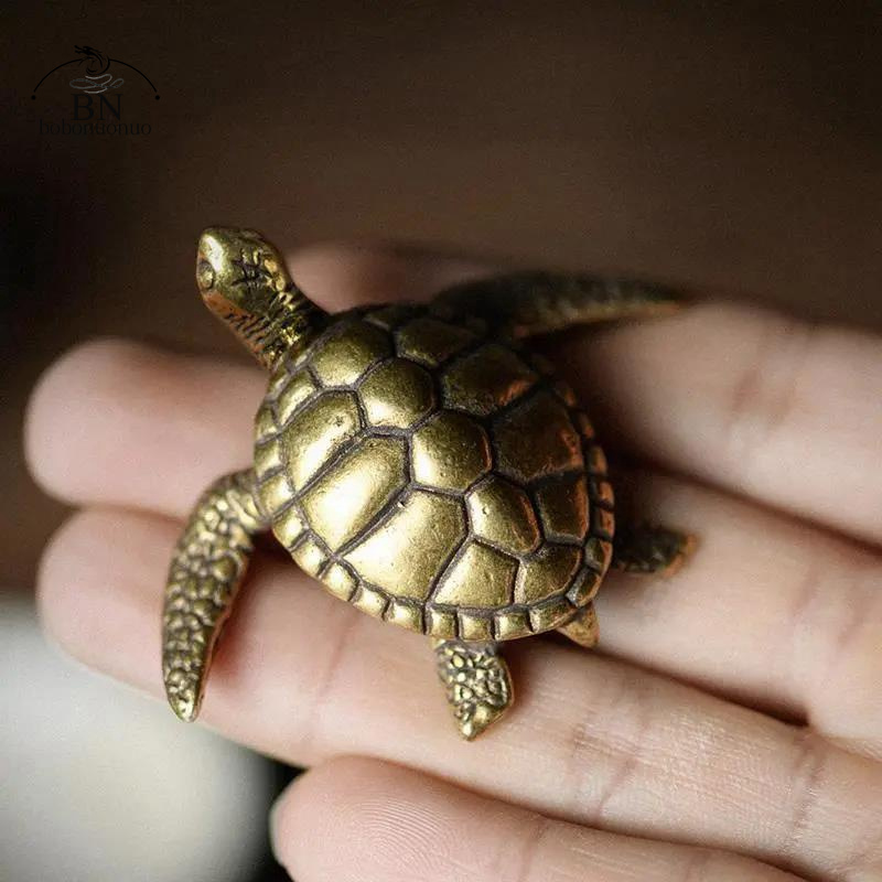Brass Turtle Small Home Deco O - đánh giá và giá Home Office Freelancer